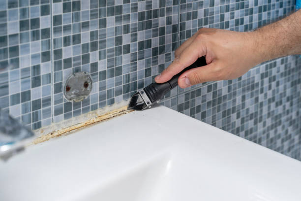Best Fast Mold Removal  in Garden Ridge, TX
